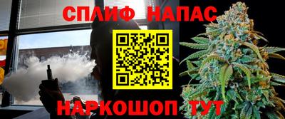 ешки Новодвинск
