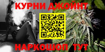 ешки Новодвинск