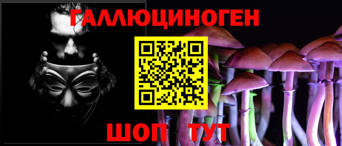 Псилоцибиновые грибы Psilocybine cubensis Семёнов